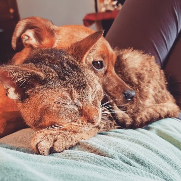 Meet your posher, Jade. - Picture 6 of 9